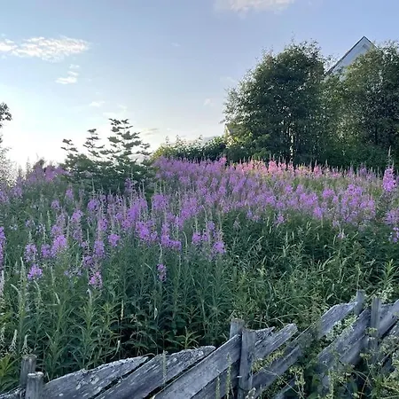 Villa Koselig Hus Med Stor Og Solrik Hage Lillehammer